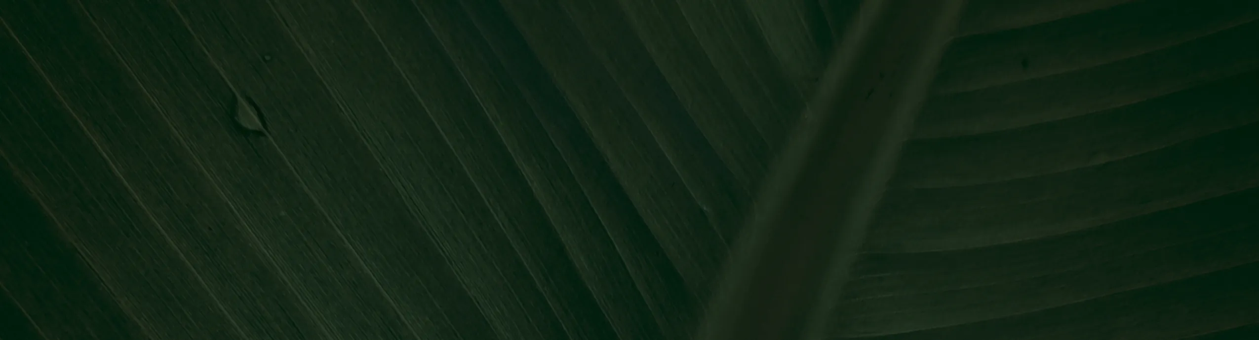 Admission Ecole privée